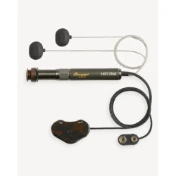 L.R. Baggs HiFi DNA